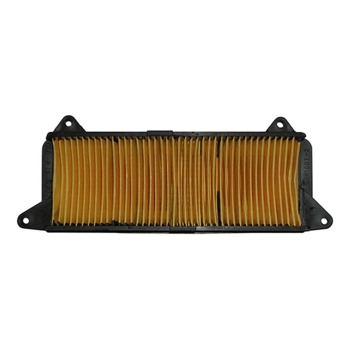Miw (MEIWA) filtr powietrza honda nhx 110 lead 08-11 (HFA1117) (100)