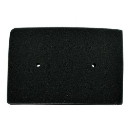 Miw (MEIWA) filtr powietrza kawasaki ex 250 r '08-'12, ex 300 ninja '13-'18 (12-93016) (HFA2505) (OEM:11013-0020) (50)