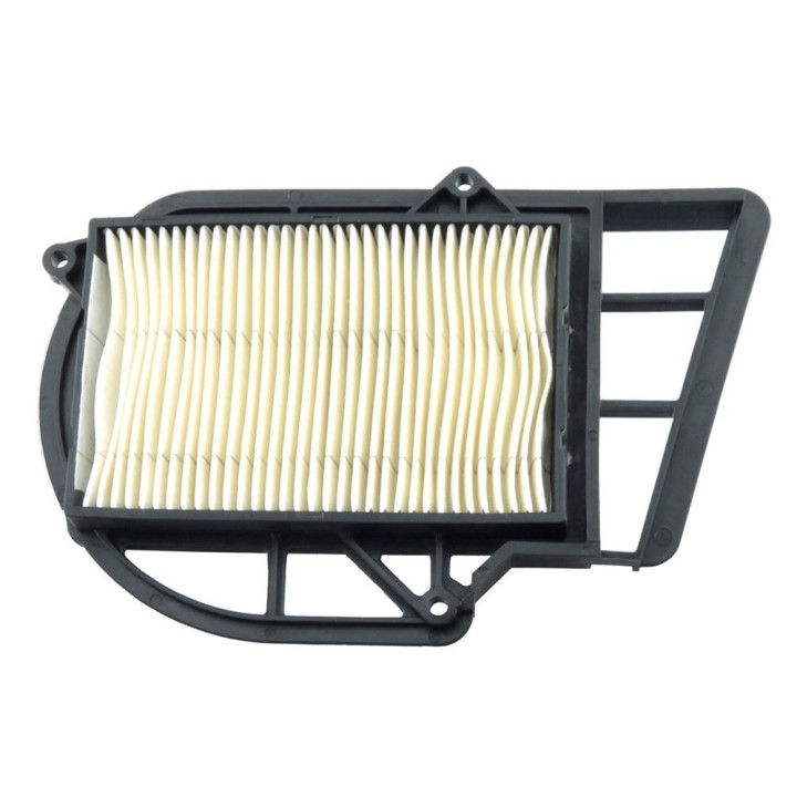Tecnium (VICMA) filtr powietrza - wkład filtra italjet jupiter, malaguti password, yamaha vprawy yp 250/300 2000-2012 (14513)