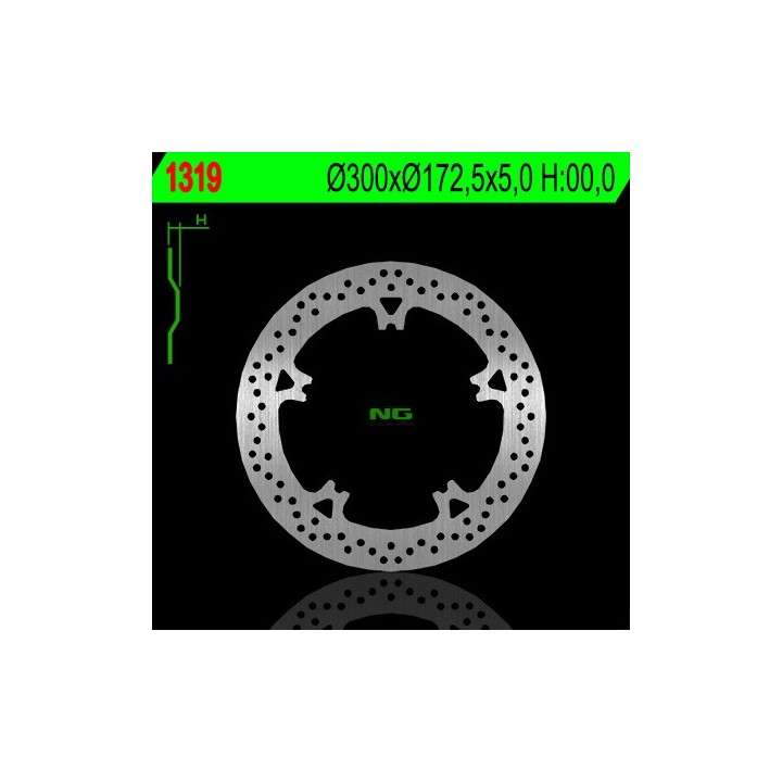 NG tarcza hamulcowa przód harley-davidson v-road '06-'13, night road '07-'13 (300X172,5X5) (5X12,5MM)