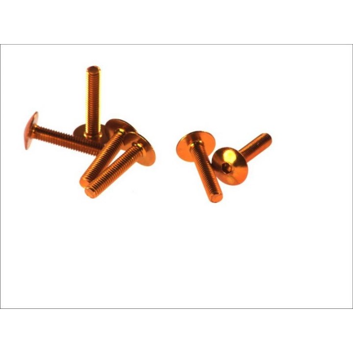 Nadwozie – pozostałe V parts (VICMA) zestaw śrub owiewki M6X30 (6SZT.)