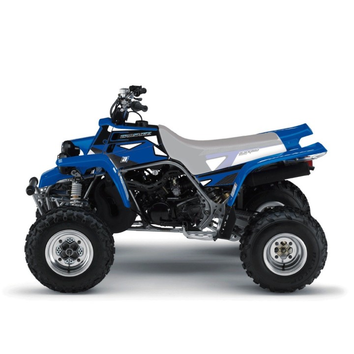 Plastiki i naklejki BLACKBIRD komplet naklejek (oklein) yamaha yfs 200 blaster '88-'06 dream 2