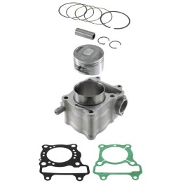Silnik RMS cylinder kompletny honda fes 150 s-wings '07-'09; fes 150 pantheon '00-02; nes 150 dylan '02-'04; sh 150 '01-'11 (go…