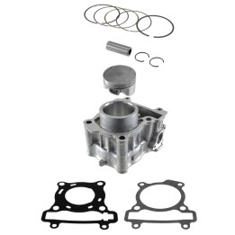 Silnik RMS cylinder kompletny yamaha YP125R x-max '08-'19; mt 125 '15-'19; x-city '08-'11; yzf 125R '08-'18 (goetze)