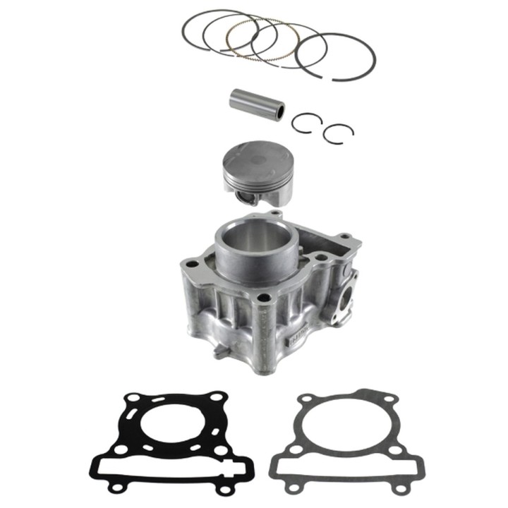 Silnik RMS cylinder kompletny yamaha YP125R x-max '08-'19; mt 125 '15-'19; x-city '08-'11; yzf 125R '08-'18 (goetze)