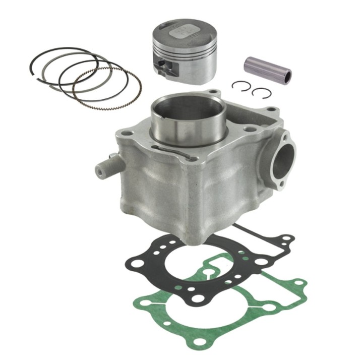 Silnik RMS cylinder kompletny honda fes 125 s-wings '07-'12; fes 125 pantheon '03-'06; nes 125 '00-'10; ses 125 dylan '02-'06;…