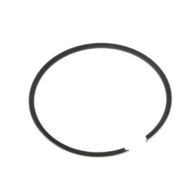 Silnik WOSSNER PIERŚCIEŃ (2T) 1 SZT. (48,00 x 1,00mm)
