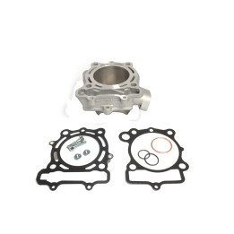 Silnik ATHENA cylinder std + uszczelki top-end kawasaki kxf 250 '09-'10