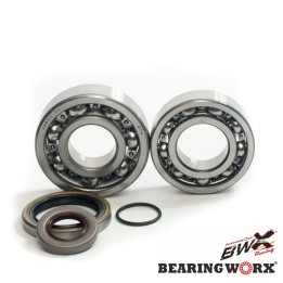 Silnik BEARING WORX łożyska wału korbowego z uszczelaniaczami gas gas ec 200/250/300 '10- (ntn) (made in japan)