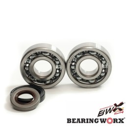 Silnik BEARING WORX łożyska wału korbowego z uszczelniaczami gas gas ec 125 '10- (ntn) (made in japan)