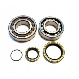 Silnik BEARING WORX łożyska wału korbowego honda cr 250 '84-'91, cr 500 '84-01 (ntn) (made in japan) (24-1004)
