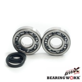 Silnik BEARING WORX łożyska wału korbowego z uszczelniaczami husqvarna CR250 99-04, WR250 99-13, WR300 98-13 (ntn) (made in jap…