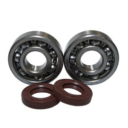 Silnik BEARING WORX łożyska wału korbowego ktm SX 65 98-08 (ntn) (made in japan) (24-1102)
