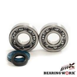 Silnik BEARING WORX łożyska wału korbowego z uszczelniaczami suzuki RM250 03-04 (ntn) (made in japan) (24-1046)