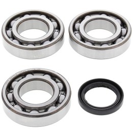 Silnik ALL BALLS łożyska wału korbowego z uszczelniaczami polaris sportsman 400/500, magnum 425/500