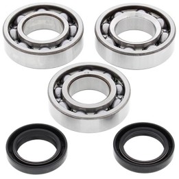 Silnik ALL BALLS łożyska wału korbowego z uszczelniaczami polaris trail boss / xplorer 300