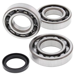 Silnik ALL BALLS łożyska wału korbowego z uszczelniaczami harley-davidson / polaris magnum / trail boss 325/330