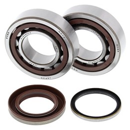 Silnik ALL BALLS łożyska wału korbowego z uszczelniaczami ktm sx-f 250 05-12, xc-f 250 07-12, xc-fw 250 06-12, koyo