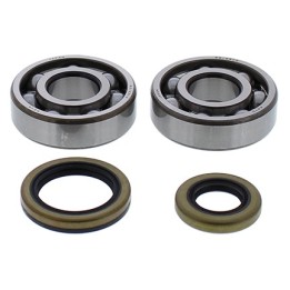 Silnik ALL BALLS łożyska wału korbowego z uszczelniaczami gas-gas EC125 13-15