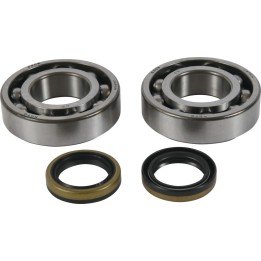 Silnik ALL BALLS ŁOŻYSKA WAŁU KORBOWEGO Z USZCZELNIACZAMI Beta EVO 2T 125 13-24, EVO 2T 125 Factory 22-23, EVO 2T 200 13-23, EV…