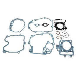 Silnik Xradical (ARTEIN GASKETS) komplet uszczelek peugeot citystar 125 DO-'09 , geopolis 125 -'07 , satelis 125 / 125 ABS -'04