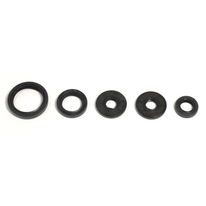ATHENA komplet (zestaw) uszczelniaczy silnikowych bmw G450X 07-10/HUSQ TC-TE-TXC449 11-14