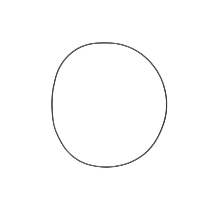 Silnik ATHENA 2026/01 uszczelka pokrywy sprzęgła (zewnętrzna) (o-ring nbr) (164,70 x 169,94 x 2,62MM) husqvarna smr / tc 310 '0…