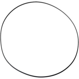 Silnik ATHENA 2026/01 uszczelka pokrywy sprzęgła (zewnętrzna) (o-ring nbr) (200 x 206 x 3MM) polaris (oem: 5412458)