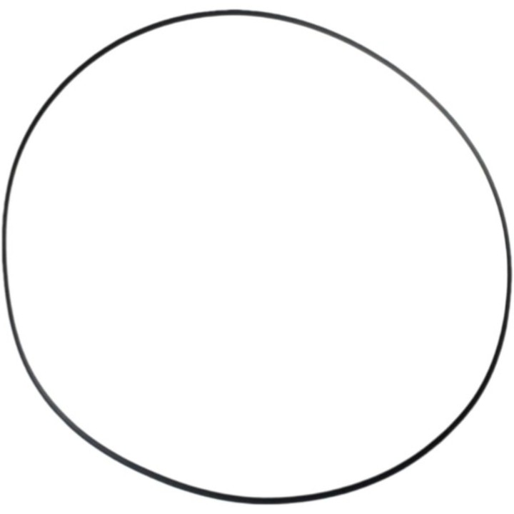 Silnik ATHENA 2026/01 uszczelka pokrywy sprzęgła (zewnętrzna) (o-ring nbr) (200 x 206 x 3MM) polaris (oem: 5412458)