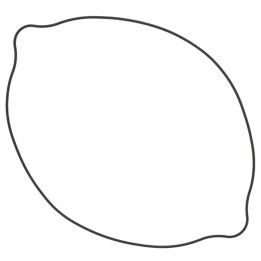 Silnik WINDEROSA (vertex) uszczelka pokrywy sprzęgła suzuki RM250 (rm 250) 90-95, RMX250 89-99 (zewnętrzna) (o-ring)