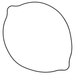 Silnik WINDEROSA (vertex) uszczelka pokrywy sprzęgła suzuki rm 250 (RM250) 96-09 (oring) (zewnętrzna)