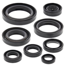 WINDEROSA (vertex) komplet (zestaw) uszczelniaczy silnikowych honda CR125R 84-85