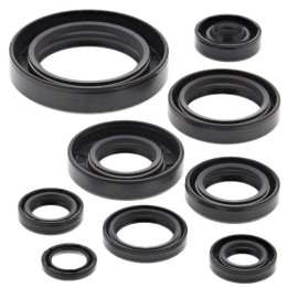 WINDEROSA (vertex) komplet (zestaw) uszczelniaczy silnikowych honda CR250R 85-87