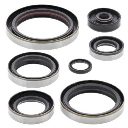 WINDEROSA (vertex) komplet (zestaw) uszczelniaczy silnikowych ktm EXC 250 00-03, mxc 250 00-01, SX 250 00-02, sxs 250 01