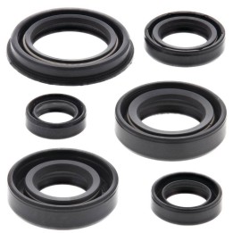 WINDEROSA (vertex) komplet (zestaw) uszczelniaczy silnikowych honda XR250R 96-04