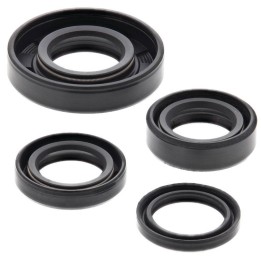 WINDEROSA (vertex) komplet (zestaw) uszczelniaczy silnikowych ktm mini adv 50 02-07, sr adv 50 02-07