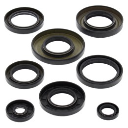 WINDEROSA (vertex) komplet (zestaw) uszczelniaczy silnikowych yamaha YFM350 grizzly 07-14 bruin 04-06 wolverine 06-09