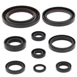 WINDEROSA (vertex) komplet (zestaw) uszczelniaczy silnikowych honda TRX450 er 06-14, TRX450R 06-09