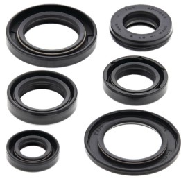 WINDEROSA (vertex) komplet (zestaw) uszczelniaczy silnikowych yamaha XT600 83-95, TT600 83-86, XT550 82-83, SRX600 86-89