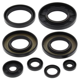 WINDEROSA (vertex) komplet (zestaw) uszczelniaczy silnikowych yamaha YFM550 grizzly 09-14, YFM700 grizzly 07-15, rhino 08-13, v…