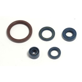 ATHENA komplet (zestaw) uszczelniaczy silnikowych husqvarna te 250 03-09, te 310 09-10, te 450/510 03-10, tc 250/310/450