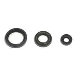 ATHENA komplet (zestaw) uszczelniaczy silnikowych husqvarna te/tc 250 10-14, te/txc 310 11-14