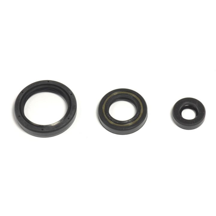 ATHENA komplet (zestaw) uszczelniaczy silnikowych husqvarna te/tc 250 10-14, te/txc 310 11-14