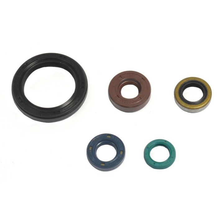 ATHENA komplet (zestaw) uszczelniaczy silnikowych kawasaki klx 250 09-12, klx 250S 07-12