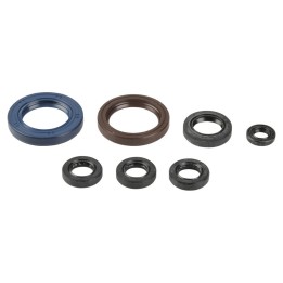 ATHENA komplet (zestaw) uszczelniaczy silnikowych ktm EXC 250/400/450/520/525 00-06, sxf 400/450/520/525 00-06