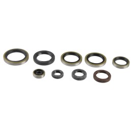 ATHENA komplet (zestaw) uszczelniaczy silnikowych ktm EXC 250/300 04-16, SX 250 03-16