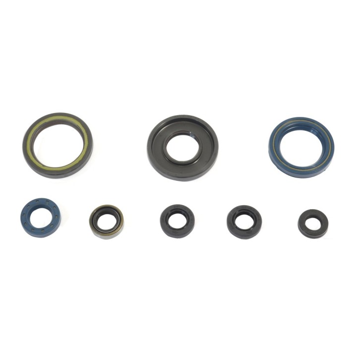ATHENA komplet (zestaw) uszczelniaczy silnikowych ktm gs 250 84-89
