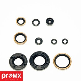 PROMX komplet (zestaw) uszczelniaczy silnikowych kawasaki kx 250 (05-07) (10SZT.)
