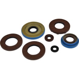 WINDEROSA (vertex) komplet (zestaw) uszczelniaczy silnikowych polaris sportsman 325 etx efi 15, ranger 325 etx 15-16, hawkeye 3…