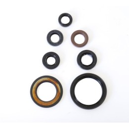 ATHENA komplet (zestaw) uszczelniaczy silnikowych yamaha yfm 700 raptor 06-18, yfm 700 r raptor 07-18